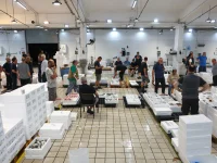 Τις μικρές ώρες της νύχτας, η σάλα της ιχθυόσκαλας σφύζει από ζωή.