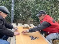 Ντόμινο, Πάρκο Μουσών